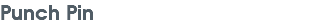 Punch Pin